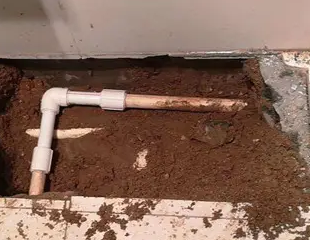 松溪测漏水哪家好