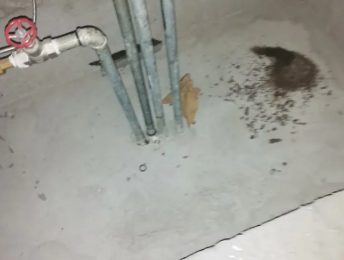 松溪卫生间测漏水价格明细